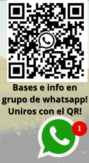 Grupo de WhatsApp